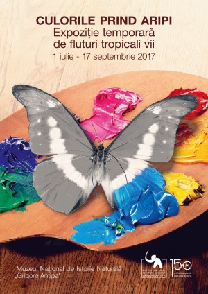 Culorile prind aripi la Muzeul Antipa
